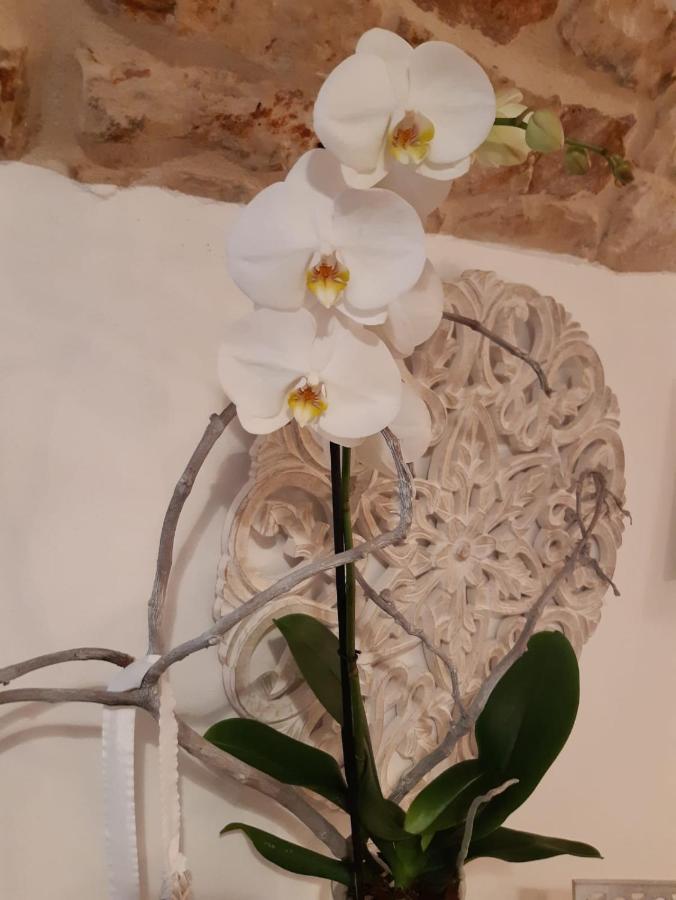 Donna Lucrezia Dimora A Corte B&B Conversano Zewnętrze zdjęcie