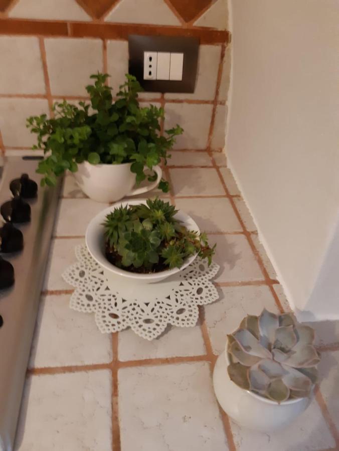 Donna Lucrezia Dimora A Corte B&B Conversano Zewnętrze zdjęcie